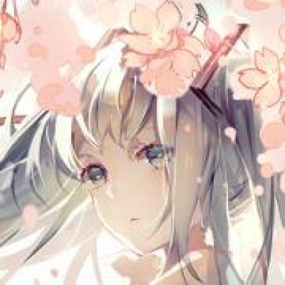 美搜救飞行员飞机在伊被击落